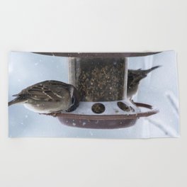 New Zealand Photography - Bird Feeder In The Snowy Weather Beach Towel