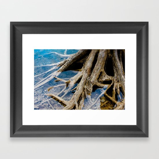 Roots Framed Art Print