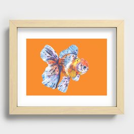 Colorful Goldfish  Recessed Framed Print