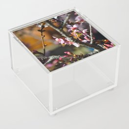 Bees & Cherryblossoms 1 Acrylic Box