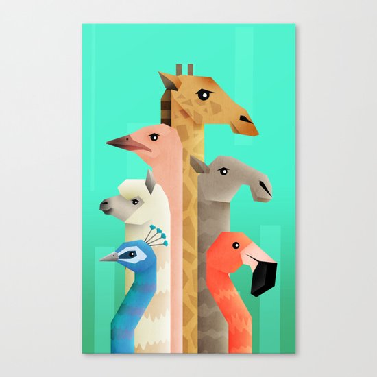 Long necks Canvas Print