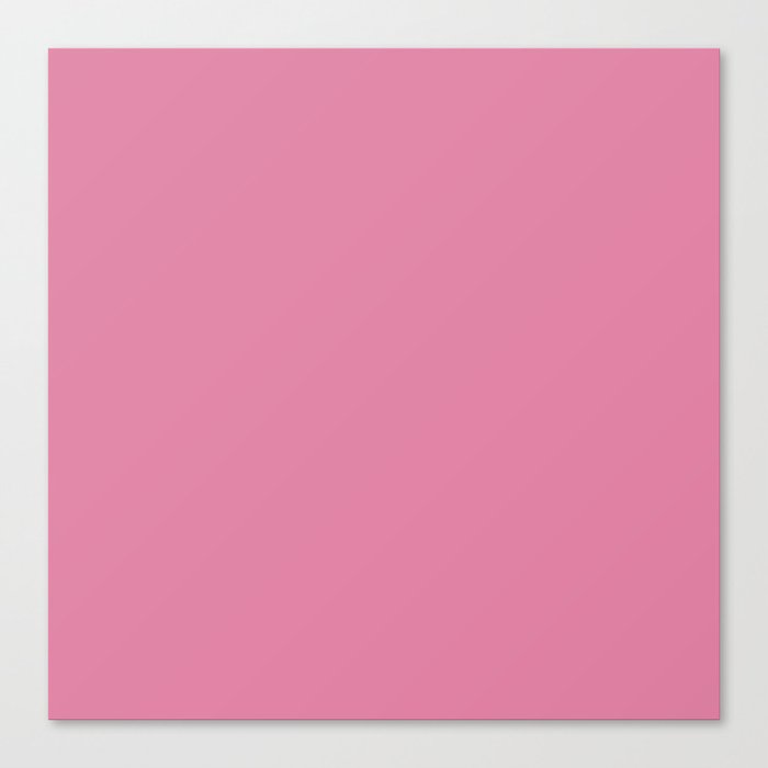 Pink Cosmos solid color. Pastel coral blush color minimalist plain  pattern  Canvas Print