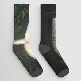 Panther Cap Socks