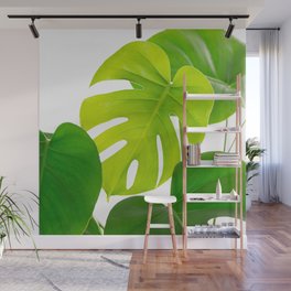 Beautiful Large Green Monstera Leaves On A White Background Fresh Mood #decor #society6 #buyart Wall Mural