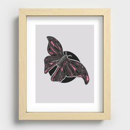 Night Moth Recessed Framed Print
