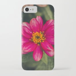 Pink Creeping Zinnias iPhone Case