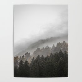 Mist over the wet woodlands Poster