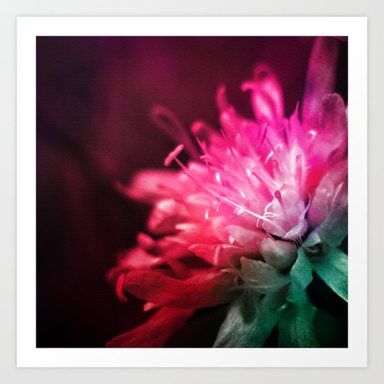 Dream Flower 10 Art Print