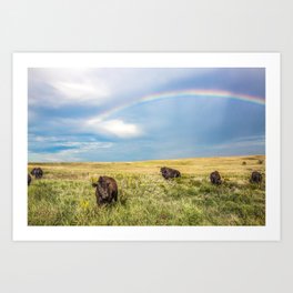 Rainbows and Bison - Buffalo on the Tallgrass Prairies of Oklahoma Art Print