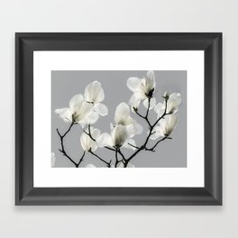 Gray Magnolia and White Framed Art Print