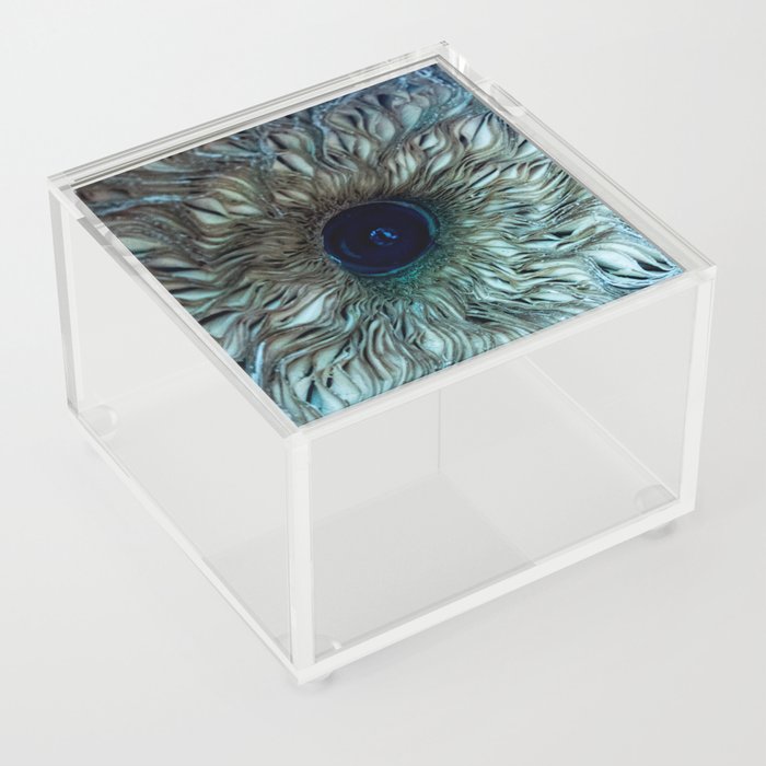 Mushroom Eye Acrylic Box
