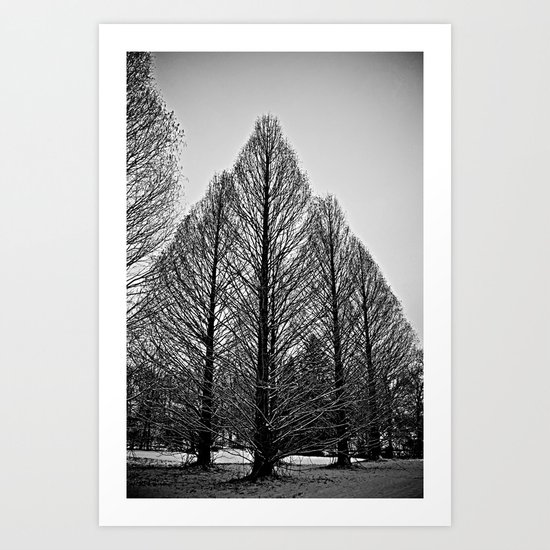 winter session Art Print