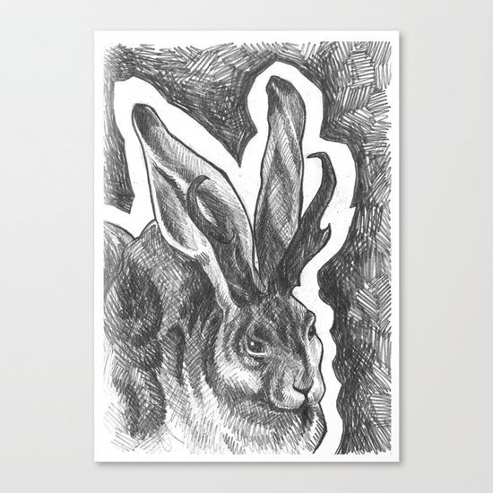 Jackalope Canvas Print