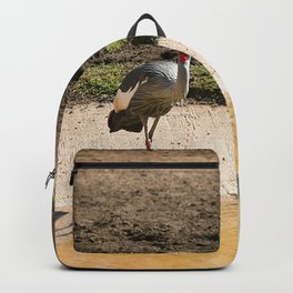 East African Crowned Crane Backpack