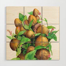 Psathyrellaceae Wood Wall Art