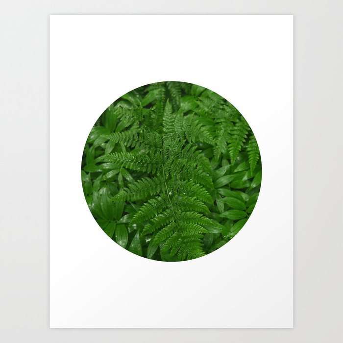 Green Plants Circle Photograph No. 4 Art Print