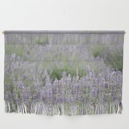 Focus On The Foreground Lavender Field Photography Wall Hanging