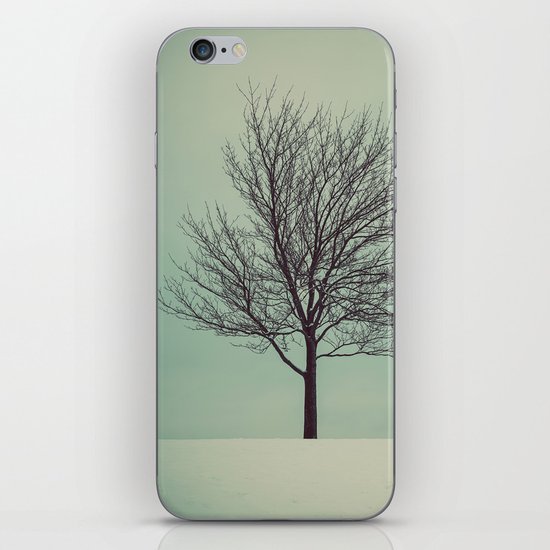 Bench with a View iPhone & iPod Skin