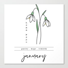 January Birth Flower | Snow Drop Canvas Print