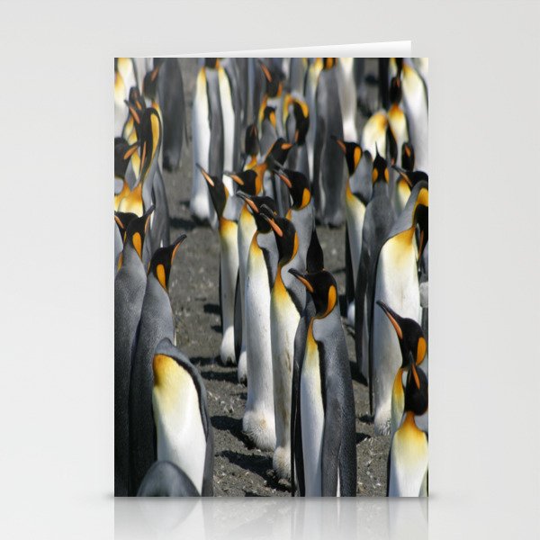 King Penguin Group Standing in a Row Stationery Cards