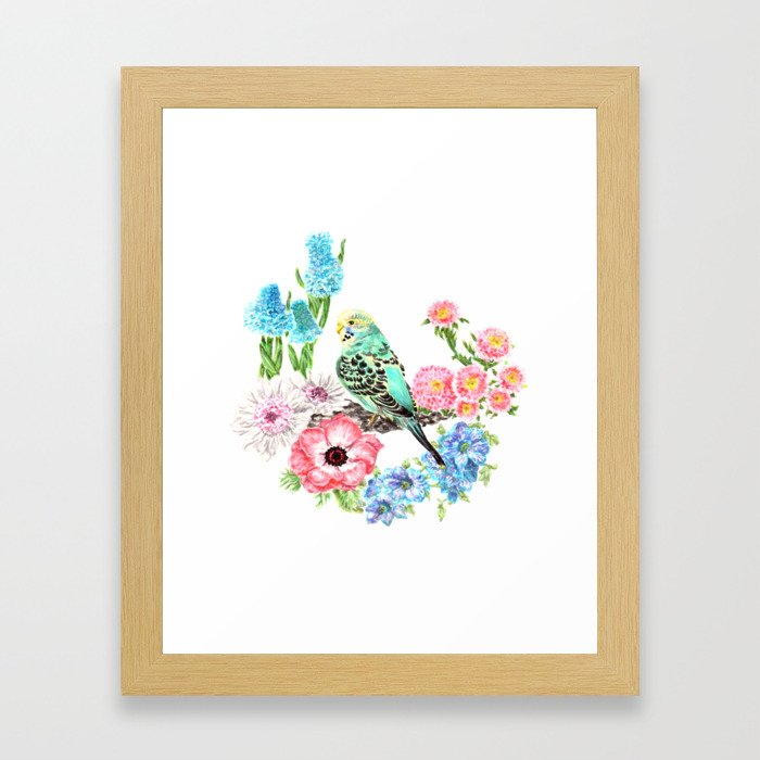 Budgies and Blooms Framed Art Print