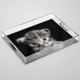 Spiked Grey Kitten Acrylic Tray
