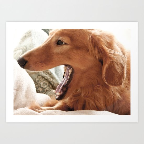 Goldie Yawn Art Print