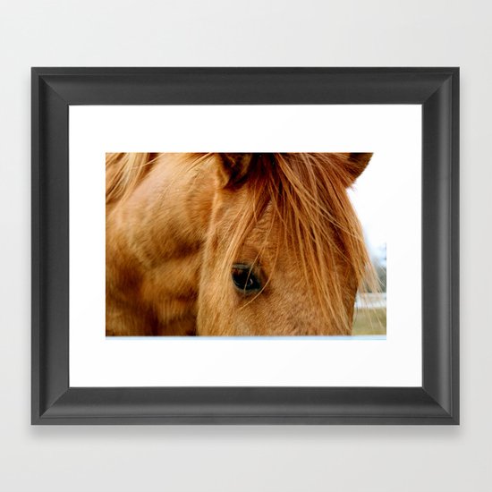 "a horse of a different color" Framed Art Print