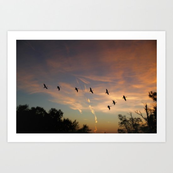 Homeward Art Print