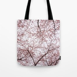 Photo of spring cherry blossom flowers during golden hour in Almere, Japanese Sakura trees in the Netherlands III | Fine Art Colorful Travel Photography | Tote Bag