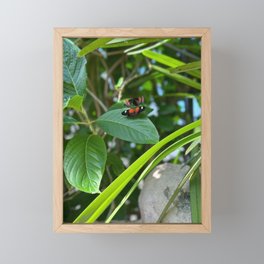 the Butterfly Framed Mini Art Print