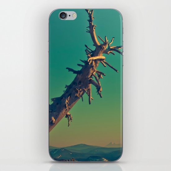 masonry iPhone & iPod Skin