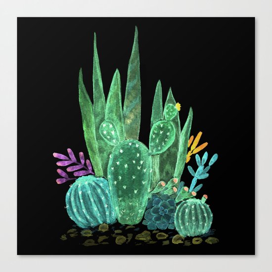 Cacti and succulents on a black background. Canvas Print