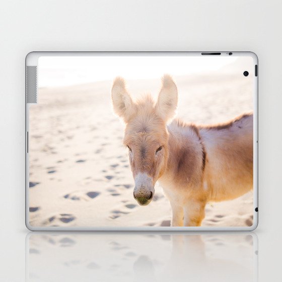 Donkey Laptop & iPad Skin
