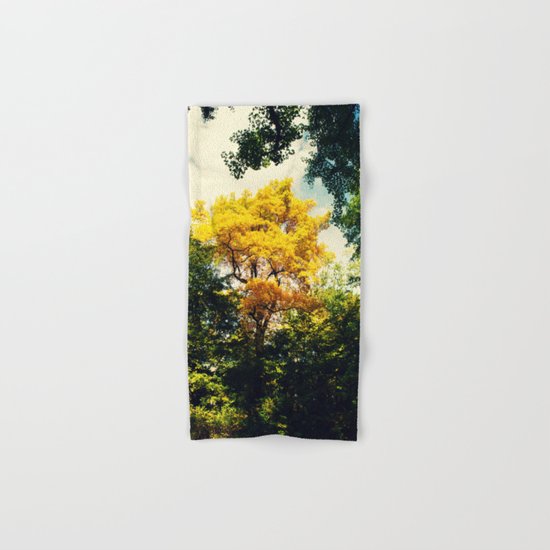 fall in Central Park Hand & Bath Towel