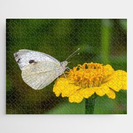 White Butterfly Sitting On Yellow Flower Jigsaw Puzzle