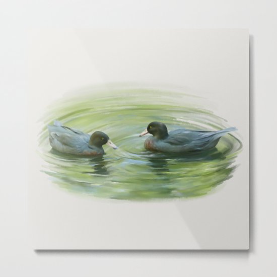 Blue Ducks in pond Metal Print