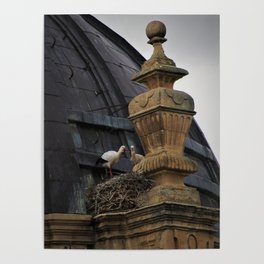 Cigüeñas en Salamanca Poster