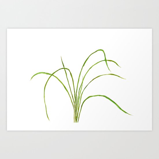 Grass Art Print