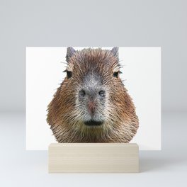 Capybara Face Hairy Front Classy Axpect Mammal Mini Art Print
