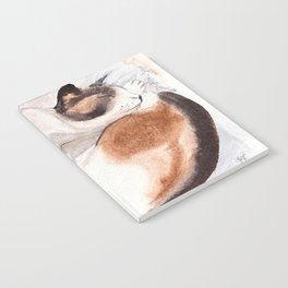 Curled Up Pure Siamese Cat Notebook