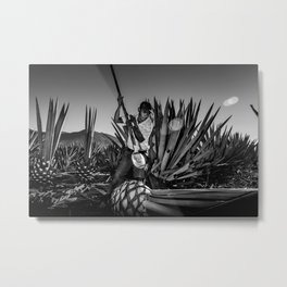 ceremonial dance Metal Print | Mezcal, Harvest, Tequila, Maguey, Field, Photo, Mexico, Agave, Jimador, Oaxaca 