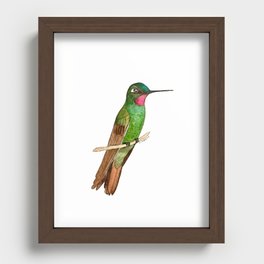 Brazilian Ruby Hummingbird Recessed Framed Print