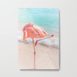 Flamingo, Flamingo Beach, Aruba Metal Print