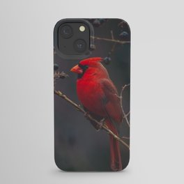 The Northern Cardinal iPhone Case