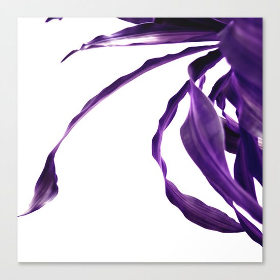 Purple tropical leaves. Canvas Print