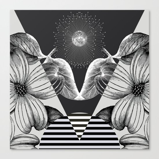i ii iii ii i Canvas Print