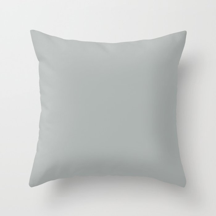 Periglacial Grey Throw Pillow