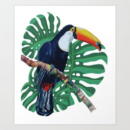 Tucan in Brazilian tropical forest Art Print