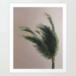 Nude Beach - A photograph of a palm tree against a peach sky Art Print